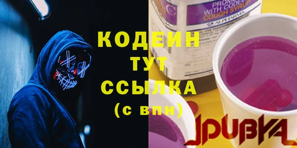дмт Дмитриев
