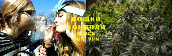 дмт Дмитриев