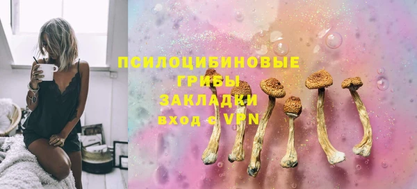 дмт Дмитриев