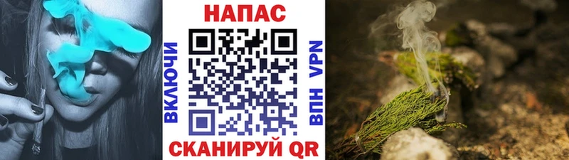 Конопля план  магазин продажи наркотиков  Звенигород 